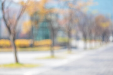 Obraz premium Abstract blurred background of outdoor city park walkway and autumn trees