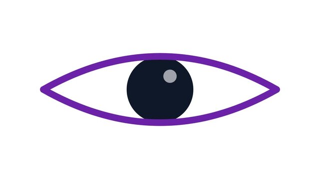 Minimalist eye animation. Simple graphic icon of a blinking human eye.