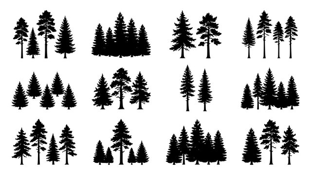Collection of black pine tree silhouettes isolated on a white background for design projects