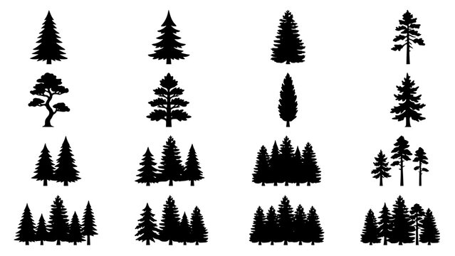 Collection of black pine and coniferous tree silhouettes isolated on a white background