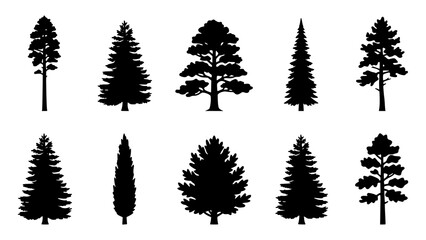 Obraz premium Set of black silhouettes of various coniferous and deciduous trees isolated on white background
