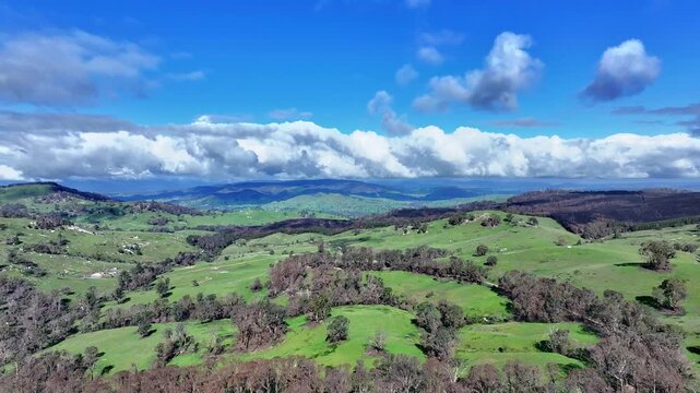 Cinematic aerial footage of Caveat  Victoria Australia
