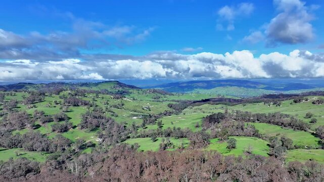 Cinematic aerial footage of Caveat  Victoria Australia