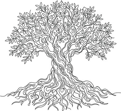 Olive tree stands firmly with deep roots growing into the fertile earth below.