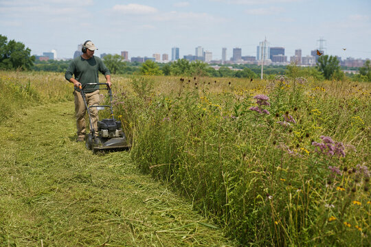 Mosaic Mowing a Native Urban Meadow