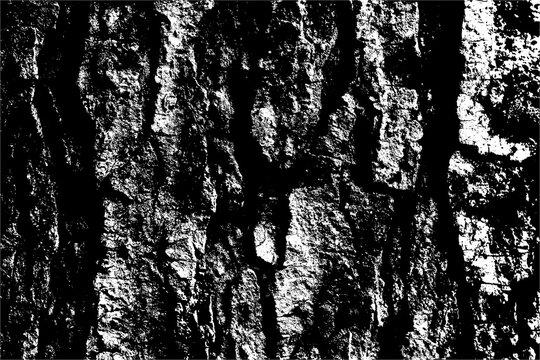 grunge texture transparent