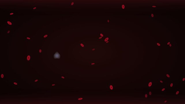 Health Blood Cells Red White Platelet Flowing Vein Stream 4K