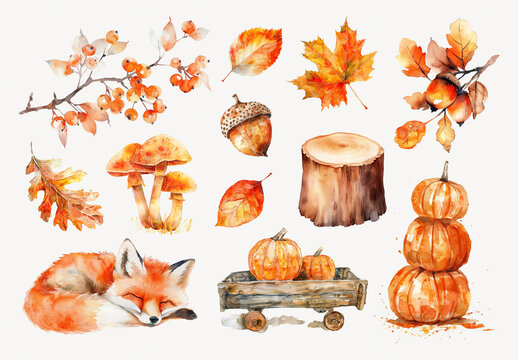 Autumn Watercolor Element Set