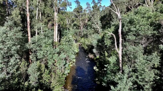 Spectacular aerial footage of Steavenson River Marysville Victoria Australia