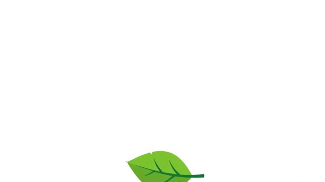 A single green leaf animation rotating and falling down against a clean and simple white background