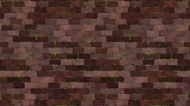 Textured brick wall with green moss, a rustic seamless loop background.