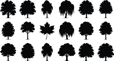 Tree Silhouette Vector Set Featuring Various Deciduous Trees and Maple Leaf for Landscape Design © Nur