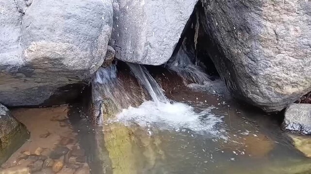 Clear mountain stream water flowing under dark boulders with water strider insects gliding on the pristine creek surface in Sri Lanka