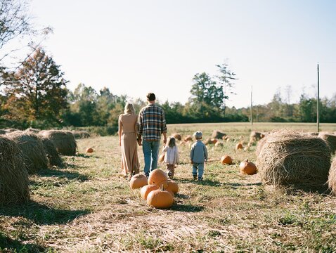 Family Walks Through Pumpkin Patch on Sunny Autumn Day