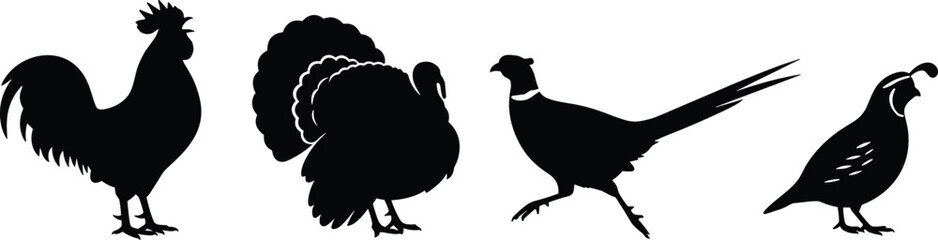 Poultry and Game Bird Silhouette Set Featuring Rooster, Turkey, Pheasant, and Quail Icons for Farm, Hunting, and Wildlife Graphic Designs © MDmasum