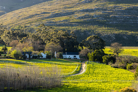 farm land at sunset, Klein mountains in background,  Stanford, South Africa