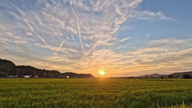 夏の夕景、美しい日本の田園風景、