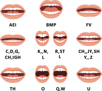 Mouth phoneme chart vector illustration showing lip and teeth positions for English pronunciation, speech therapy, lip sync animation, and language learning design