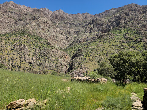 Rugged mountain peaks frame a distant stone village, while a lush spring meadow bordered by a rustic stone wall stretches across the foreground.
📍 AbbasAbad, Hawraman Takht, Kurdistan 