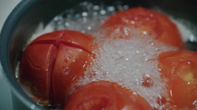 Boiling fresh red tomatoes with cross cut skin in hot water for peeling and making tomato sauce.