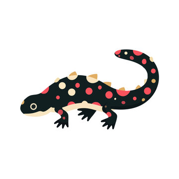 Cute Spotted Salamander Illustration Isolated