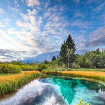 Gorgeous summer view on Zelenci lake with beautiful reflections in water.