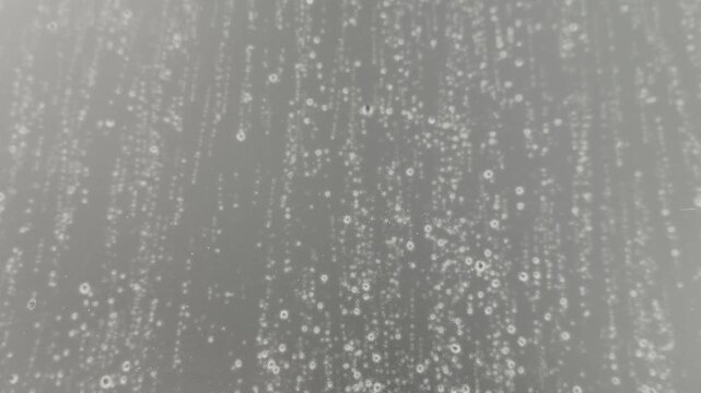 Close-up of small water droplets and vertical trickles on a clear glass window during a light rainstorm