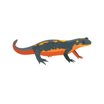 Great Crested Newt Flat Vector Illustration