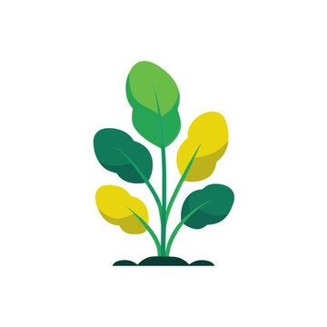 Green and Yellow Spinach Plant Vector Icon
