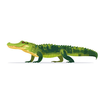 Green Alligator Walking Isolated on Transparent Background