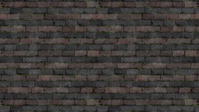 Aged Paving Stones with Green Moss, an Infinite Loop Background.