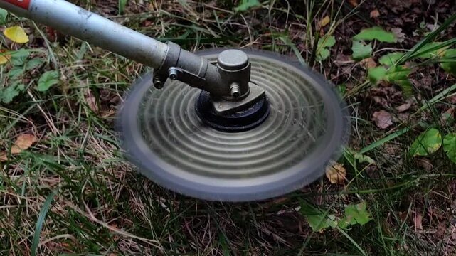 Close up of a gasoline brush cutter cutting head starting to spin above grass, power tool activation, garden equipment operation, outdoor maintenance, summer season