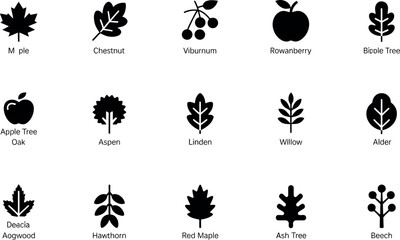 Obraz premium Botanical Tree Leaf Silhouette Vector Icon Set – Forest, Nature and Plant Collection