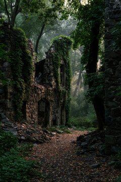 Mansion ruins draped in ivy and moss within a quiet forest of the Hudson Highlands