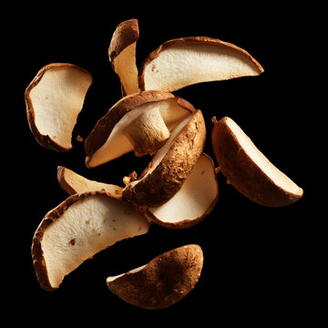 Porcini mushroom isolated on black background with clipping path, presenting concept of gourmet superfood and healthy nutrition