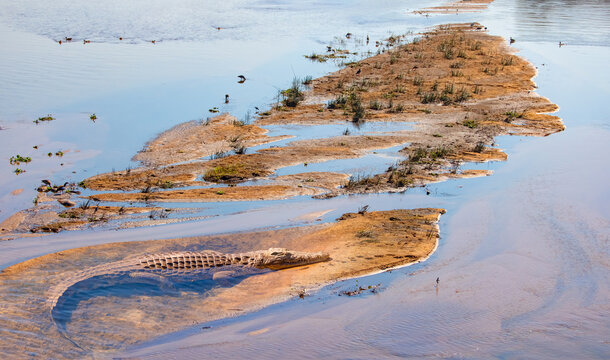 Crocodile river in Kruger National park, South Africa