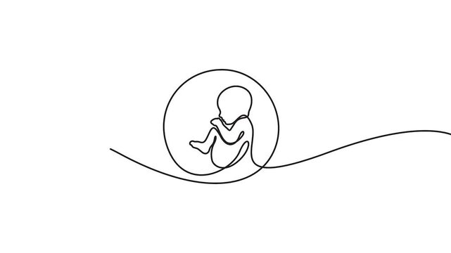 Fetus in womb continuous line drawing animation of pregnancy vector. Animated continuous line drawing of a fetus in womb for pregnancy and maternity concepts.
