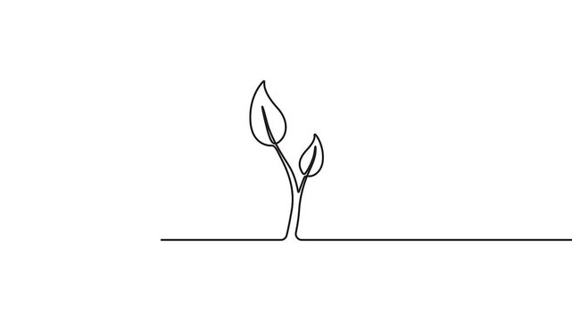 Continuous line drawing of small plant growing animation vector graphic. Animated small plant growing with continuous line art style for eco and nature concepts.