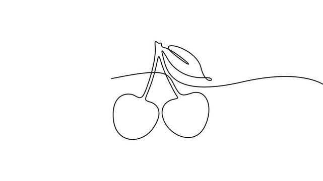 Continuous line drawing of cherries with leaf in motion animation vector. Animated continuous line drawing of fresh cherries with leaf for healthy food concepts.