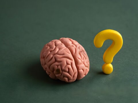 Human brain model with a yellow question mark symbol on a dark green background.