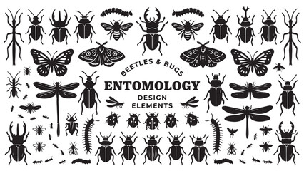 Fototapeta premium Decorative Insects and Floral Elements Hand Drawn Vector Illustration