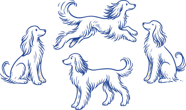 Afghan hound dog breed sighthound doodle in hand-drawn vignetting outline style, featuring a canine pet animal puppy portrait with long hair, elegant form, and pedigree charm for posters and stickers.
