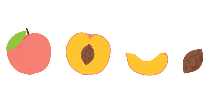 Flat Peach and Apricot Fruit Set with Whole Half Slice and Pit Isolated Icons