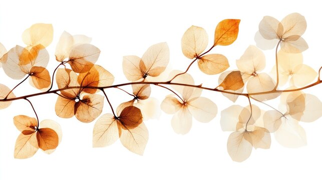 Autumn Branch: A delicate branch adorned with translucent autumn leaves, showcasing a spectrum of warm hues from amber to soft beige, evokes a sense of serene transition.
