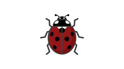 Minimalist ladybug insect vector illustration with clean black outlines on white background © Mafaat