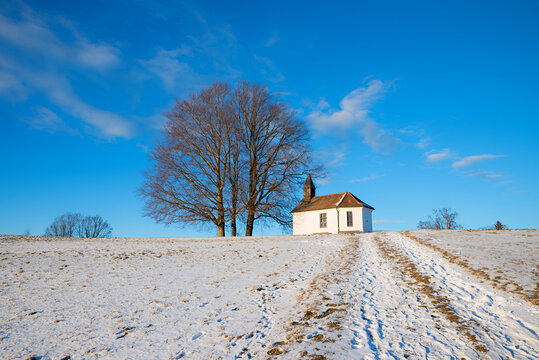 Footpath up the wintry hill to the Altenburg Chapel, next to two bare trees.