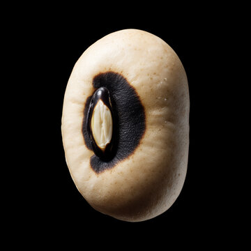 Single black eyed bean isolated on a dark background with clipping path, concept of nutrition and natural food