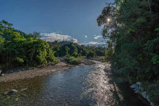 Sunlight shining over a tropical riverbank and lush green jungle vegetation with sunlight, tropical