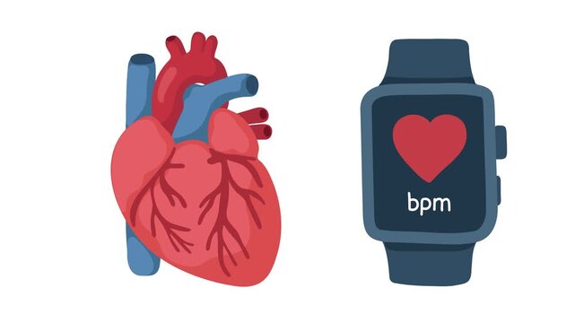 Animation of smartwatch and cardiovascular health