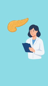Animation of doctor explaining pancreas anatomy to patient